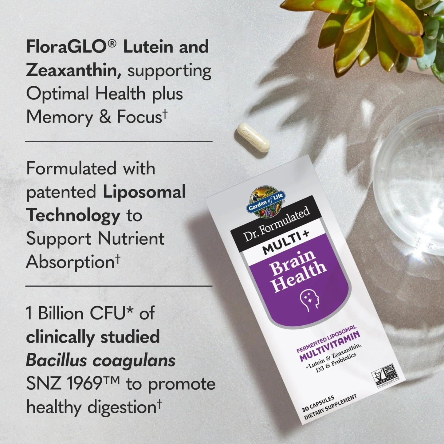 Garden of Life Dr Formulated Multi+ Brain Health, Fermented Liposomal Multivitamin + Lutein & Zeaxanthin, Vitamin D3 & Probiotics - PrimeBioHealth - canada supplements