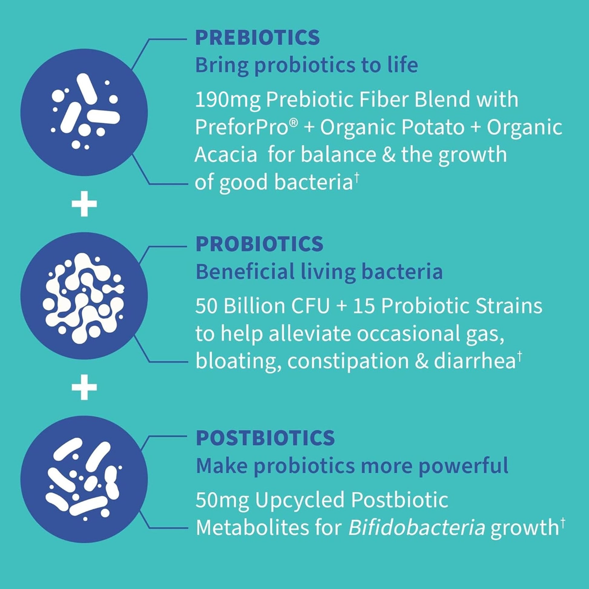Garden of Life Dr. Formulated Pre, Post & Probiotics Gas & Bloating Once Daily 3-in-1 Complete Prebiotics, Postbiotics & Probiotics – 50 Billion CFU - PrimeBioHealth - canada supplements