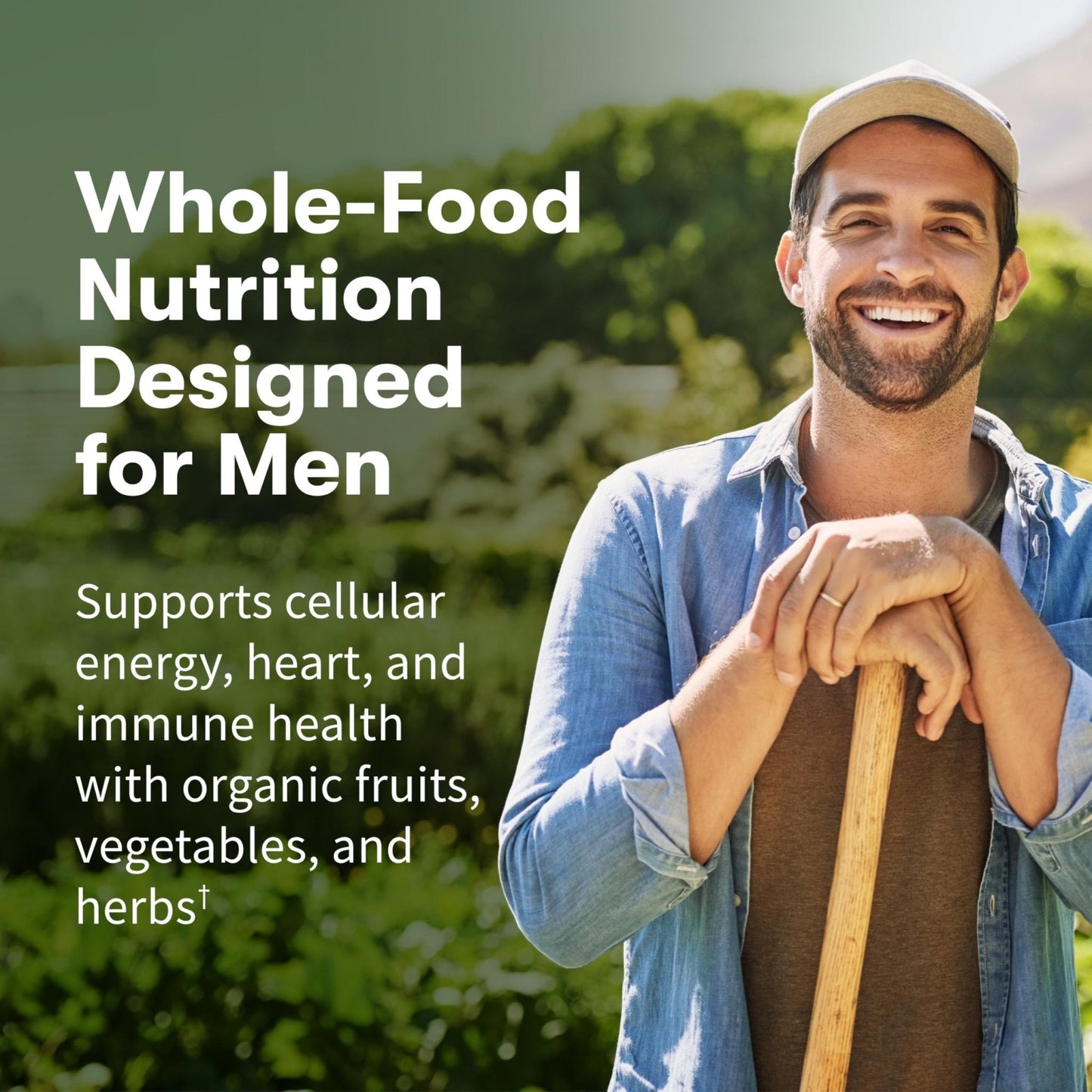 Garden of Life Once Daily Whole Food Multivitamin for Men, Organic Mens Vitamins & Minerals, Vitamin C, Zinc, Vegan, for Health & Well-Being, 60 Tablets - PrimeBioHealth - canada supplements