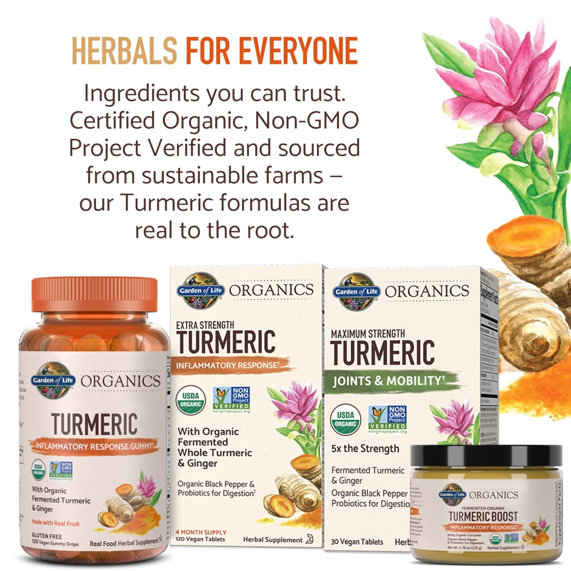 Garden of Life Organics Golden Milk Recovery & Nourishment Powder - 44mg Turmeric Curcumin (95% Curcuminoids), Ashwagandha - Organic Non-GMO Vegan & Gluten - PrimeBioHealth - canada supplements
