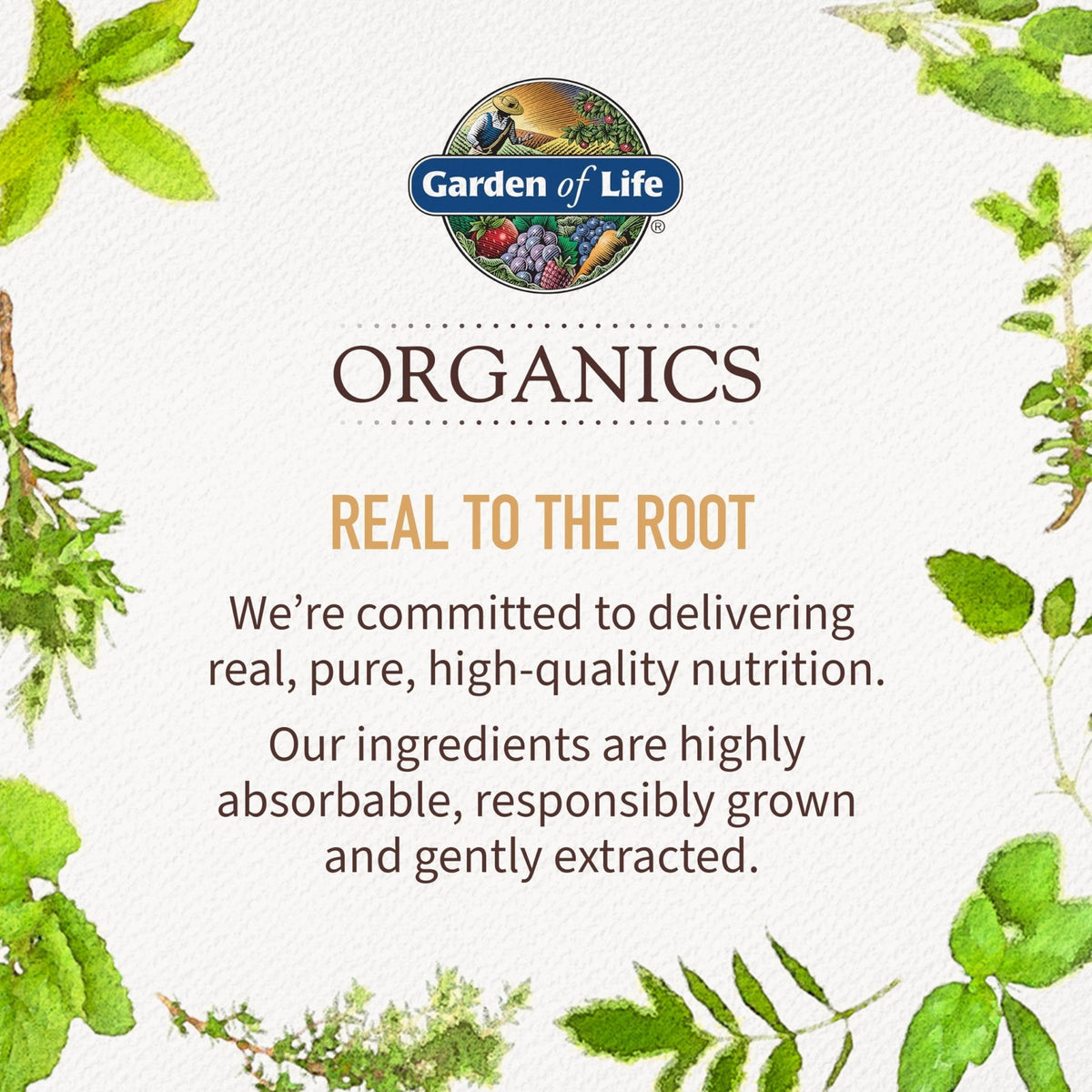 Garden of Life Organics Golden Milk Recovery & Nourishment Powder - 44mg Turmeric Curcumin (95% Curcuminoids), Ashwagandha - Organic Non-GMO Vegan & Gluten - PrimeBioHealth - canada supplements