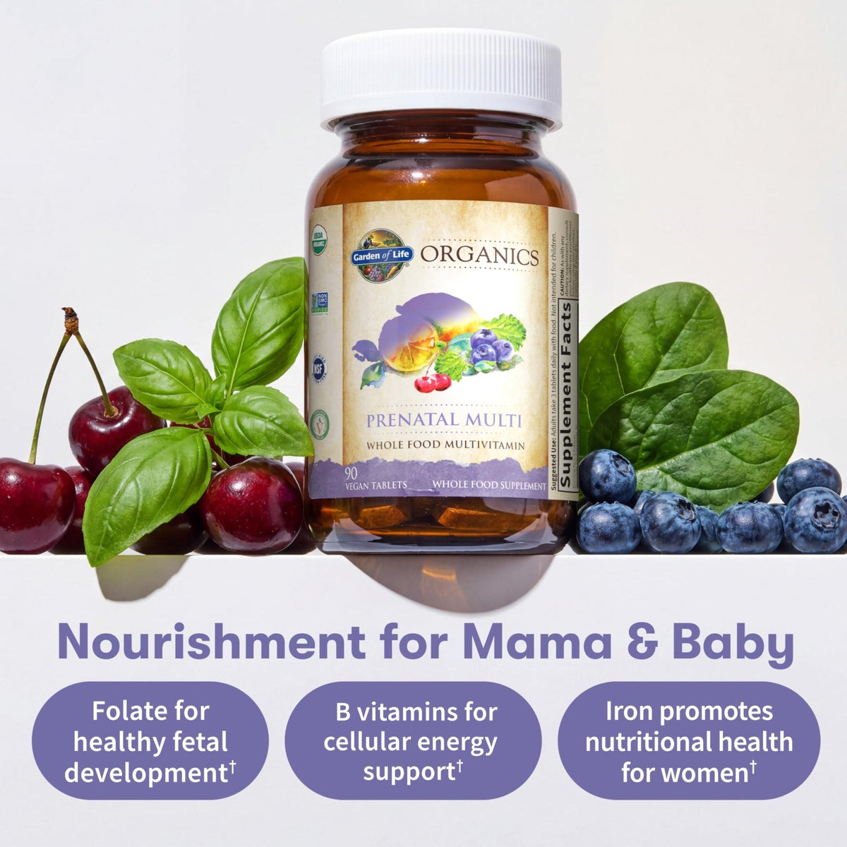 Garden of Life Organics Prenatal Multivitamin with Folate, B6, B12, D3 & Iron – Prenatal Vitamins for Women with Energy Metabolism Support for Healthy Fetal Development - PrimeBioHealth - canada supplements