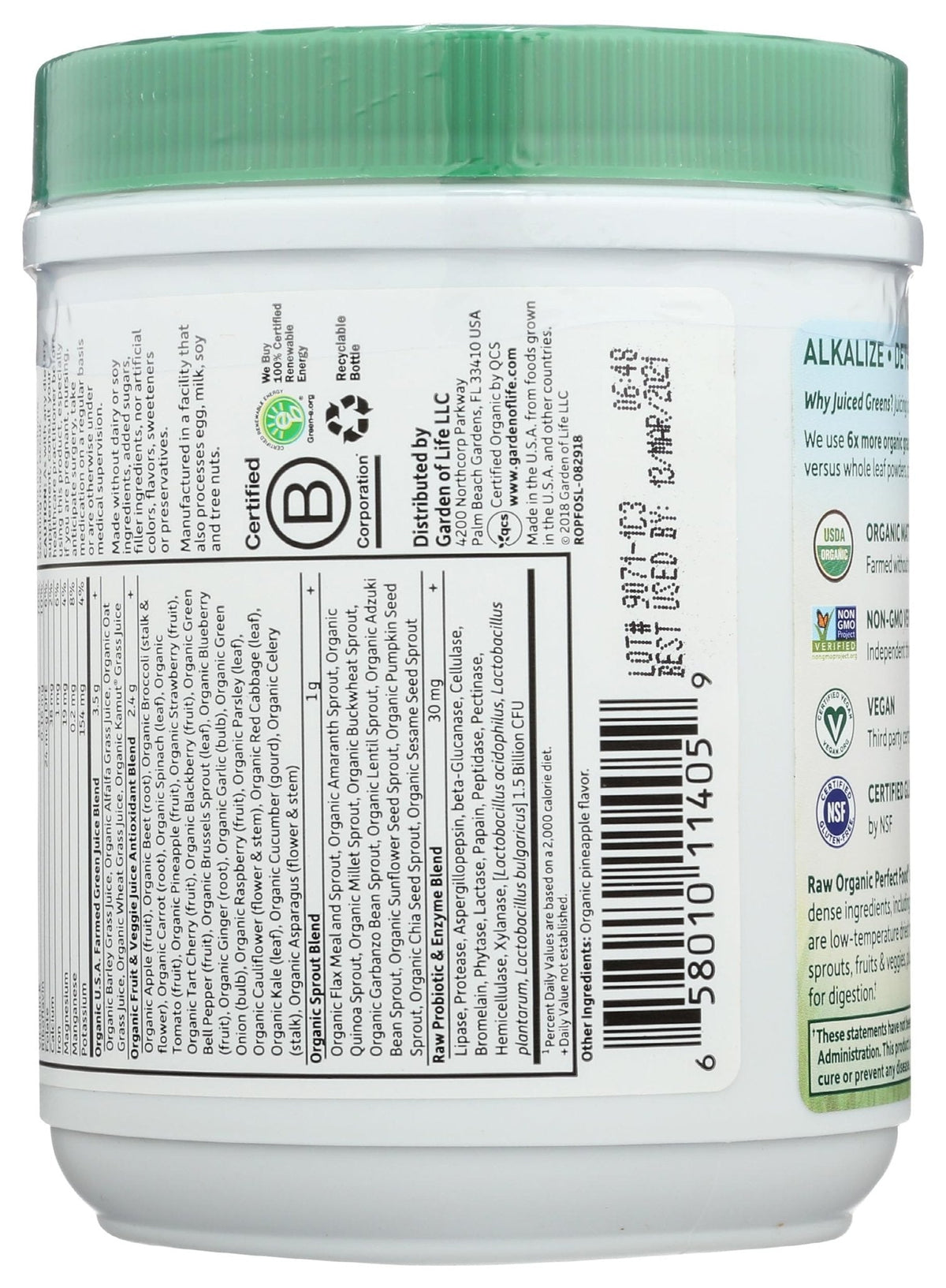 Garden of Life Raw Organic Perfect Food Green Superfood Juiced Greens Powder - Original Stevia-Free, 30 Servings, Non-GMO, Gluten Free Whole Food Dietary - PrimeBioHealth - canada supplements