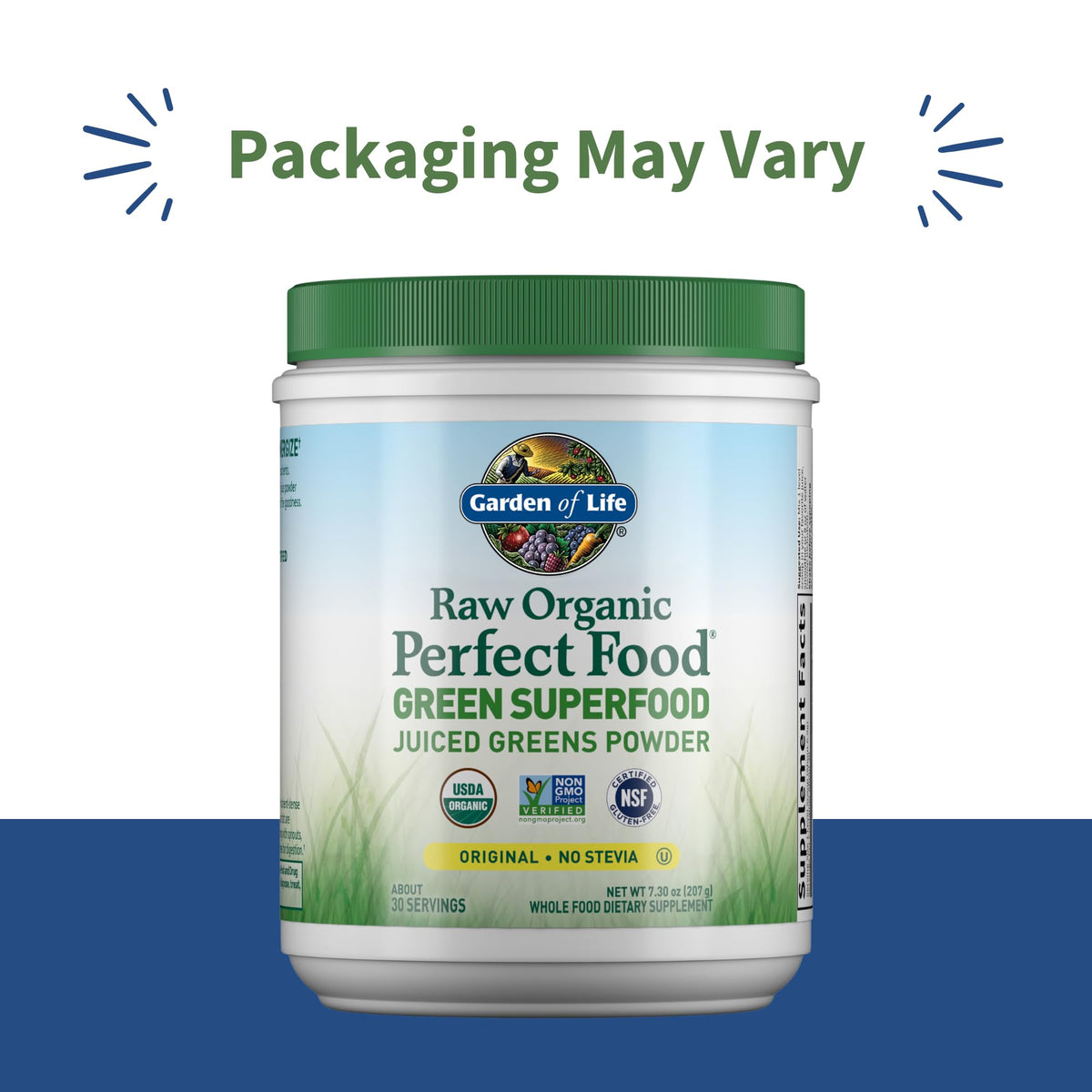 Garden of Life Raw Organic Perfect Food Green Superfood Juiced Greens Powder - Original Stevia-Free, 30 Servings, Non-GMO, Gluten Free Whole Food Dietary - PrimeBioHealth - canada supplements