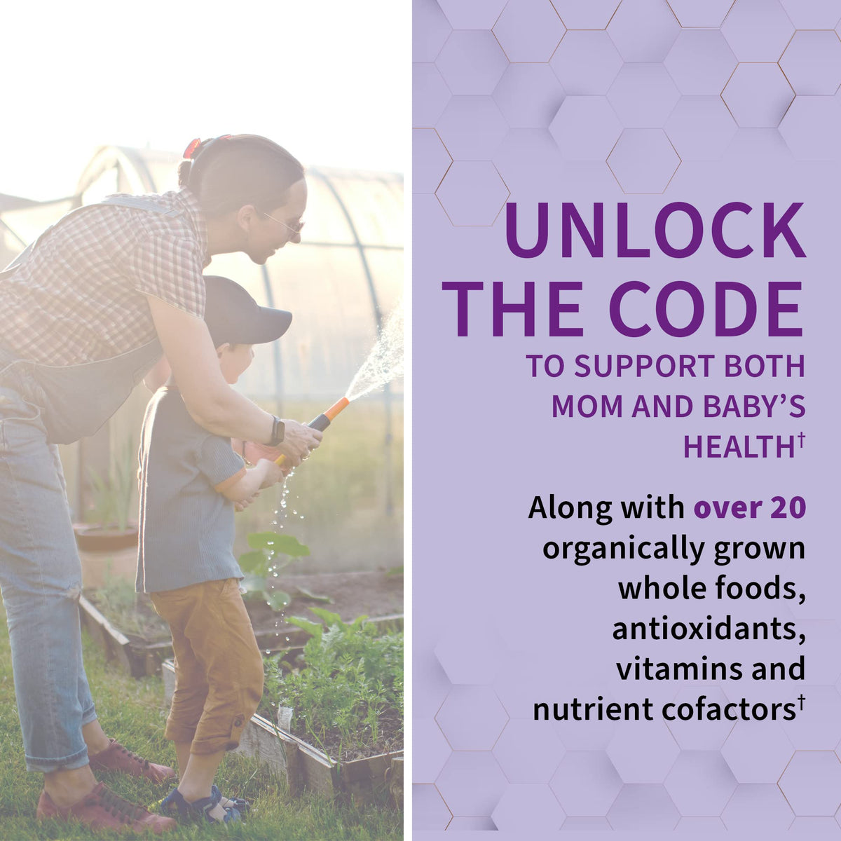 Garden Of Life, Raw Vitamin Code Prenatal, 180 Vegetarian Capsules - PrimeBioHealth - canada supplements