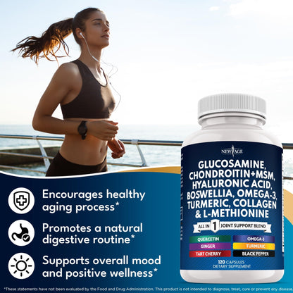 Glucosamine Chondroitin, MSM, Turmeric Curcumin, Collagen, Hyaluronic Acid, Omega 3 – Health Supplement for Men & Women – 240 Count - PrimeBioHealth - canada supplements