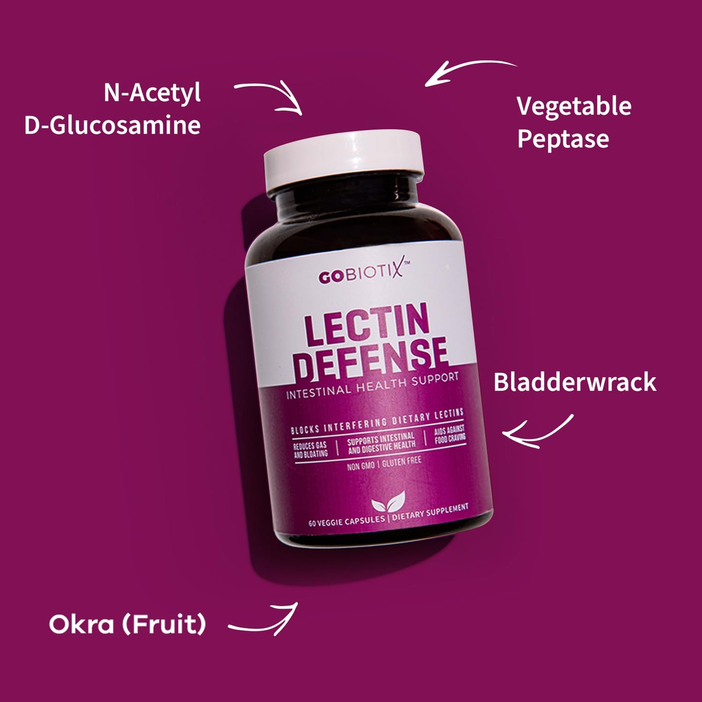 GOBIOTIX Lectin Defense - Lectin Blocker Supplement for Leaky Gut with MSM and Digestive Enzymes - Aids in Intestinal Health for Women and Men - Non-GMO - PrimeBioHealth - canada supplements