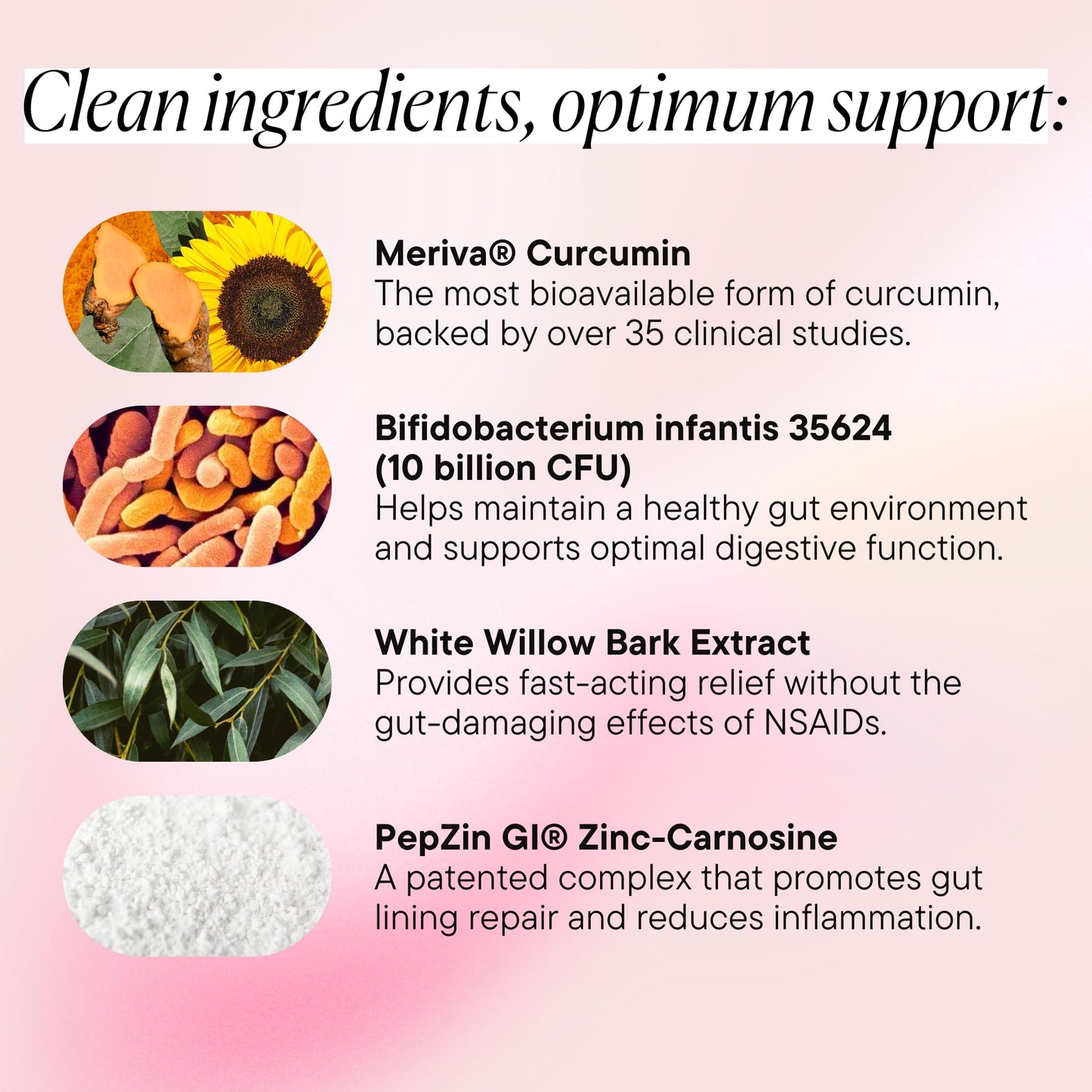 Goodness Lover Inflammation Pro, with 10 Billion CFU for Digestive Support, Curcumin, White Willow bark Extract, Zero fillers, Vegan, 30 Servings - PrimeBioHealth - canada supplements