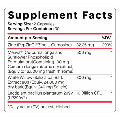 Goodness Lover Inflammation Pro, with 10 Billion CFU for Digestive Support, Curcumin, White Willow bark Extract, Zero fillers, Vegan, 30 Servings - PrimeBioHealth - canada supplements