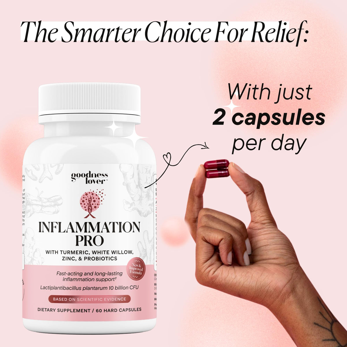 Goodness Lover Inflammation Pro, with 10 Billion CFU for Digestive Support, Curcumin, White Willow bark Extract, Zero fillers, Vegan, 30 Servings - PrimeBioHealth - canada supplements