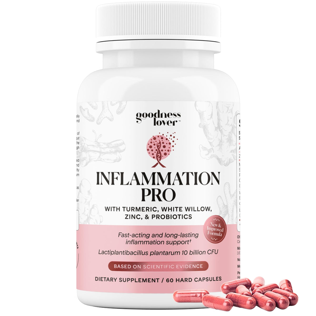 Goodness Lover Inflammation Pro, with 10 Billion CFU for Digestive Support, Curcumin, White Willow bark Extract, Zero fillers, Vegan, 30 Servings - PrimeBioHealth - canada supplements
