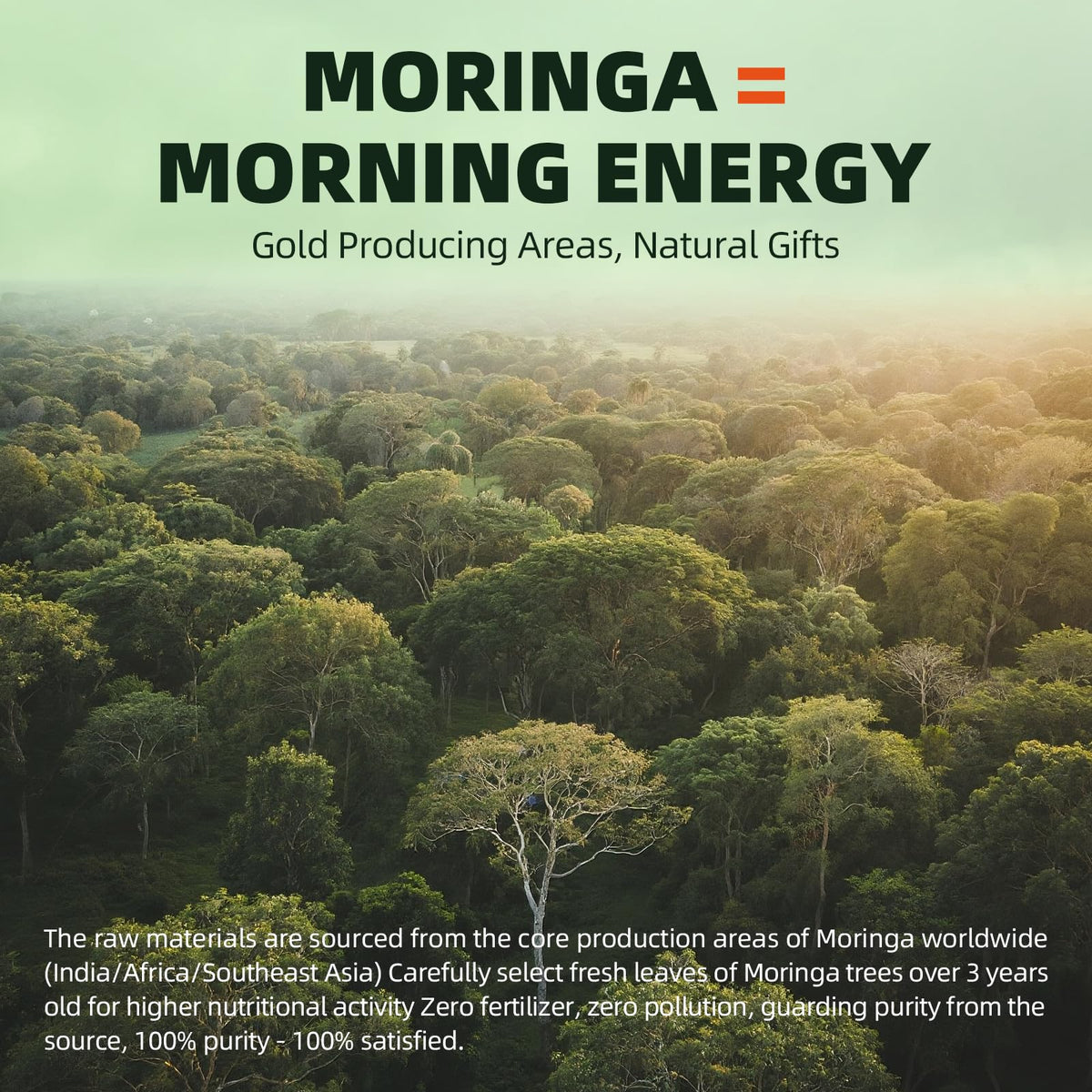 GREENPEOPLE Whole-Leaf Moringa Capsules 1500mg - High Potency 10:1 Moringa Oleifera Leaf Extract - Natural Green Superfood for Energy & Immune Support - PrimeBioHealth - canada supplements