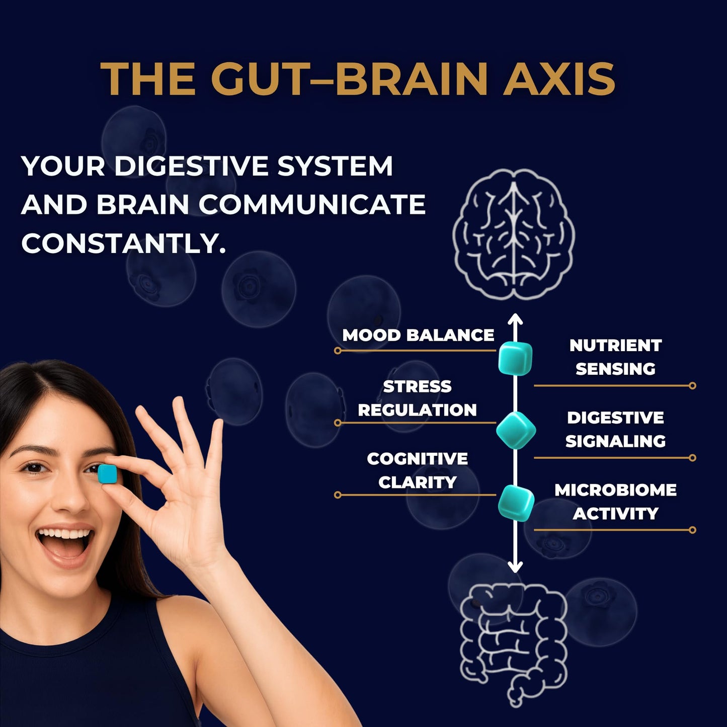 Gut Health & Bloating Relief Gummies – Digestion Support with Prebiotic Fiber, Inulin & Ashwagandha – Stress, Nervous Stomach, Sleep & Calm Support – Gut-Brain Axis Formula - PrimeBioHealth - canada supplements