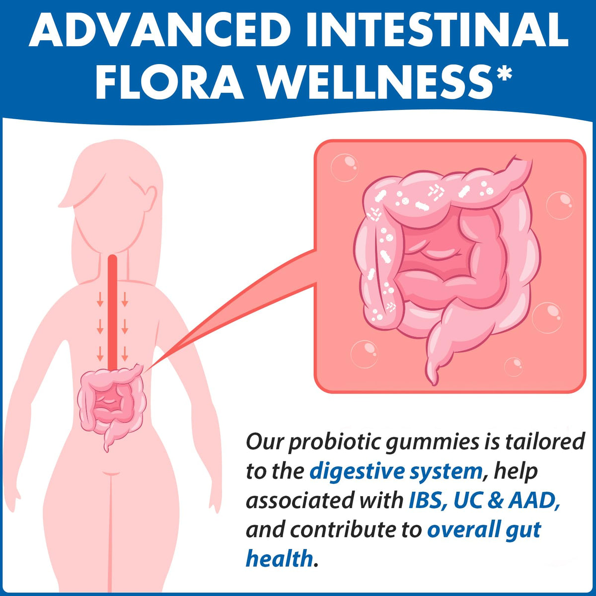 Gut Health & Probiotic Gummies, 112.5 Billion CFU, Sugar Free - 8 Strains + Prebiotics + Herbs - for Digestive, Immune, Diarrhea & Bloating - Gut Health for Women & Men - PrimeBioHealth - canada supplements