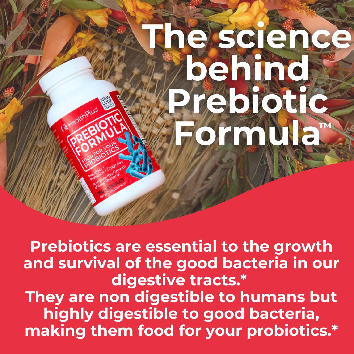 Health Plus Prebiotic Formula - Probiotics + Prebiotics + Digestive Enzymes - Gluten Free, Dairy Free, Natural Herbal Ingredients - PrimeBioHealth - canada supplements