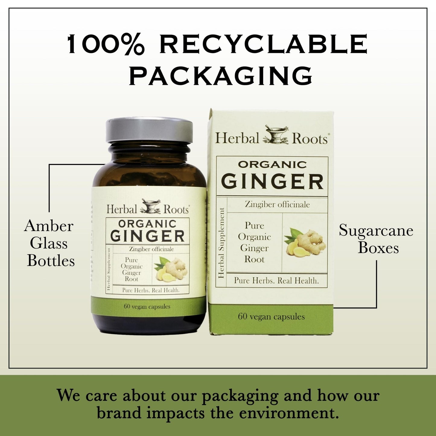 Herbal Roots Ginger Supplement | Organic Ginger Root Capsules | 1,200 mg of Pure Ginger Powder per Serving | 60 Vegan Capsules - PrimeBioHealth - canada supplements