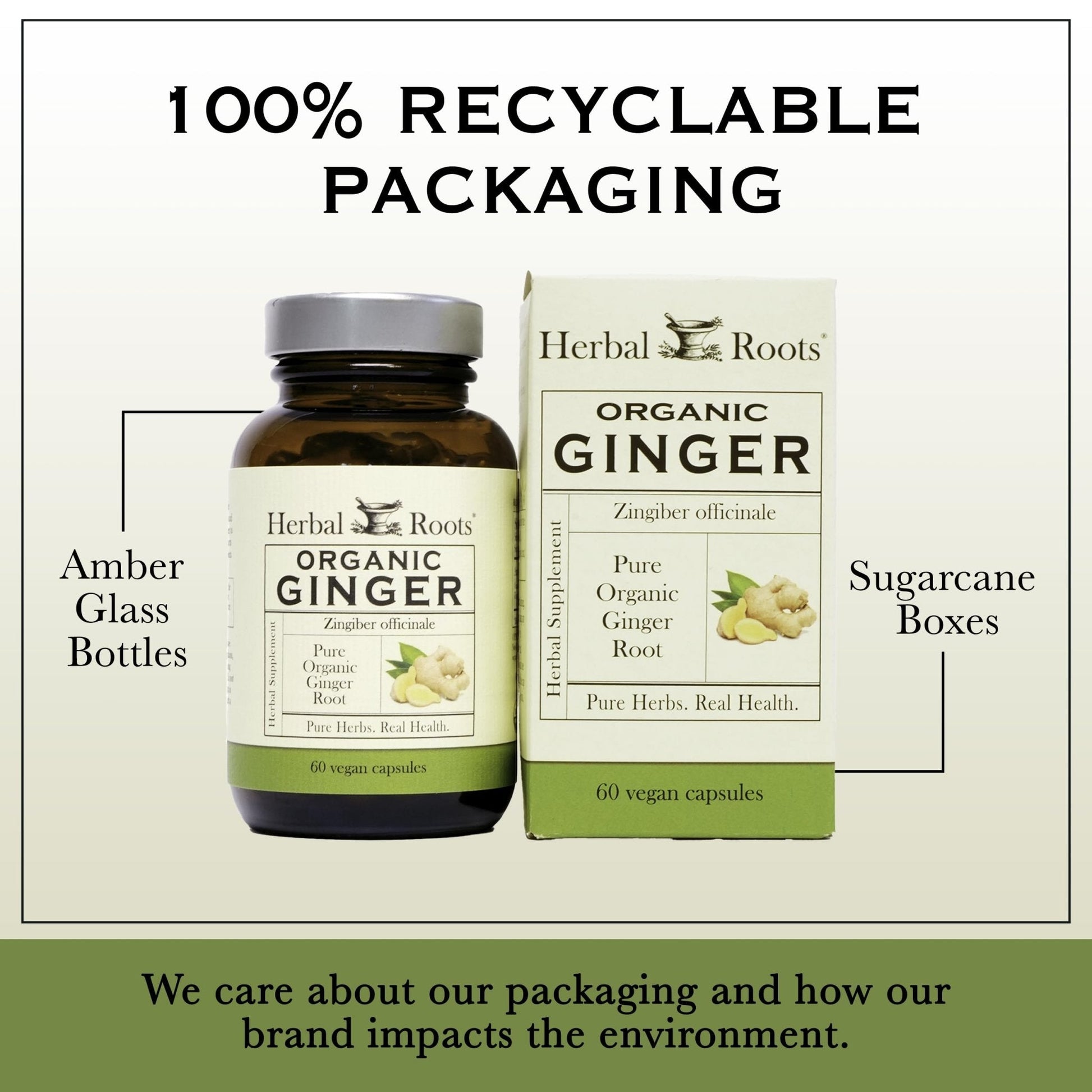 Herbal Roots Ginger Supplement | Organic Ginger Root Capsules | 1,200 mg of Pure Ginger Powder per Serving | 60 Vegan Capsules - PrimeBioHealth - canada supplements