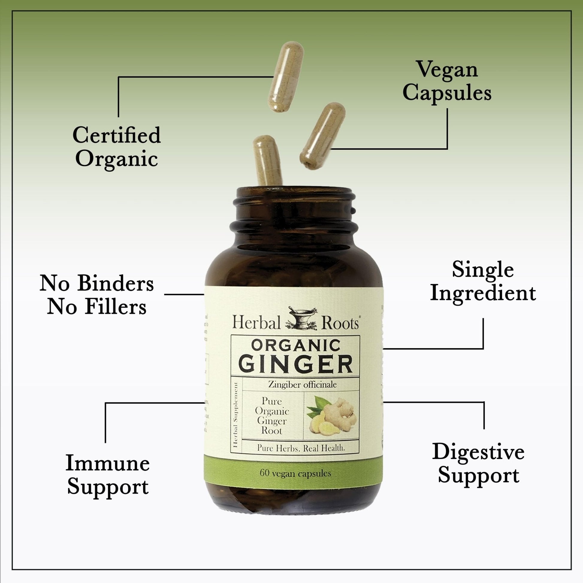 Herbal Roots Ginger Supplement | Organic Ginger Root Capsules | 1,200 mg of Pure Ginger Powder per Serving | 60 Vegan Capsules - PrimeBioHealth - canada supplements