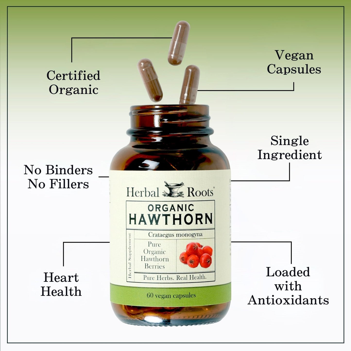 Herbal Roots Organic Hawthorn Berry Capsules | Extra Strength 1,200mg per Serving | 60 Vegan Capsules - PrimeBioHealth - canada supplements