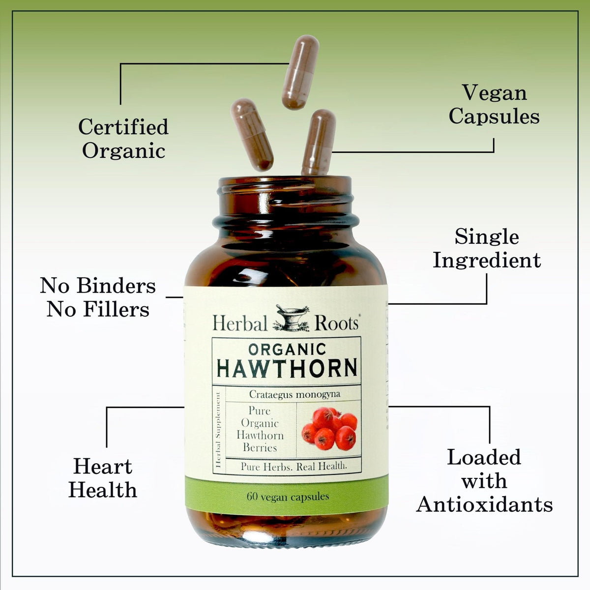 Herbal Roots Organic Hawthorn Berry Capsules | Extra Strength 1,200mg per Serving | 60 Vegan Capsules - PrimeBioHealth - canada supplements