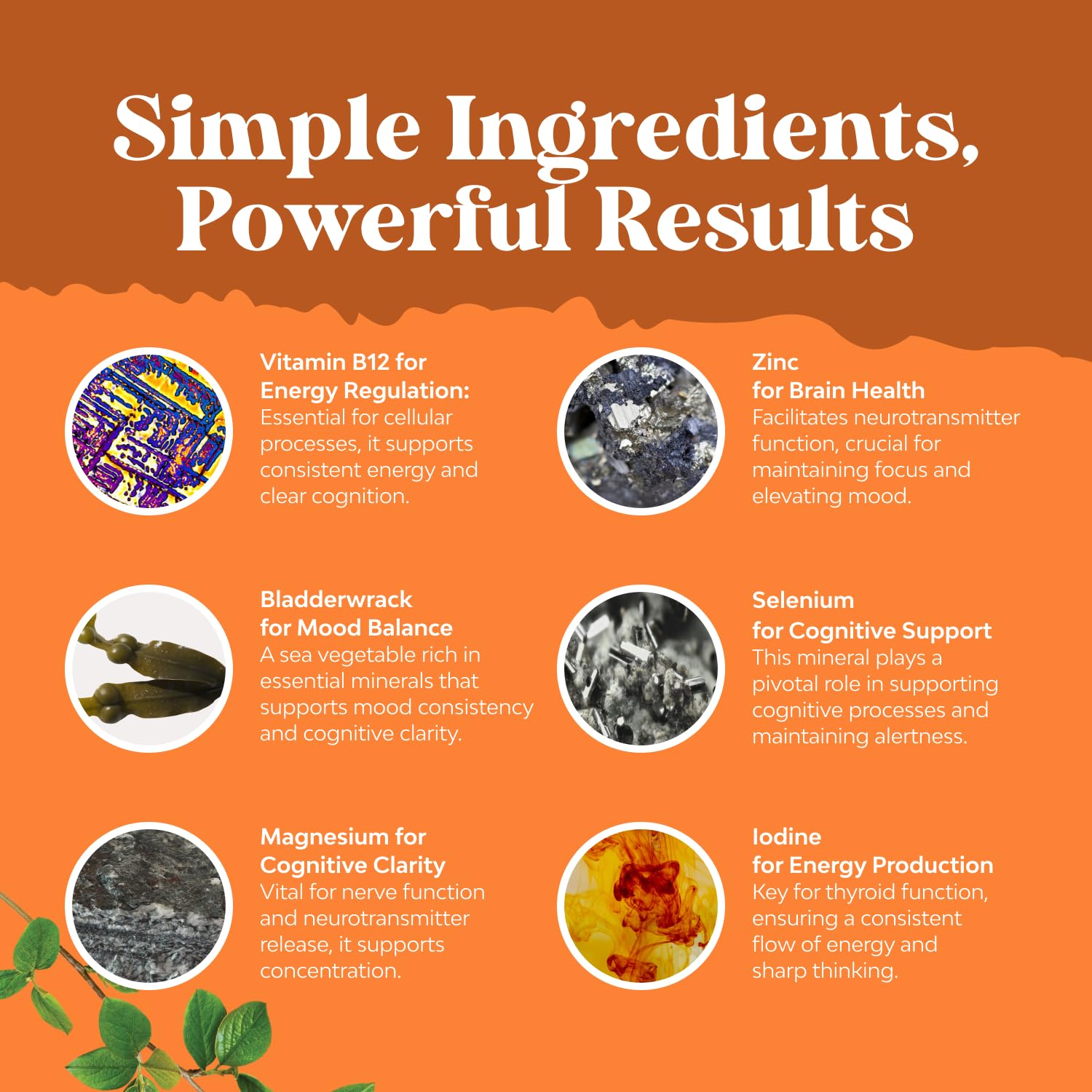 Herbal Thyroid Support Complex - Potent Kelp Iodine Supplement with L Tyrosine, Bladderwrack, Selenium & Pure Ashwagandha for Hormone Balance - PrimeBioHealth - canada supplements