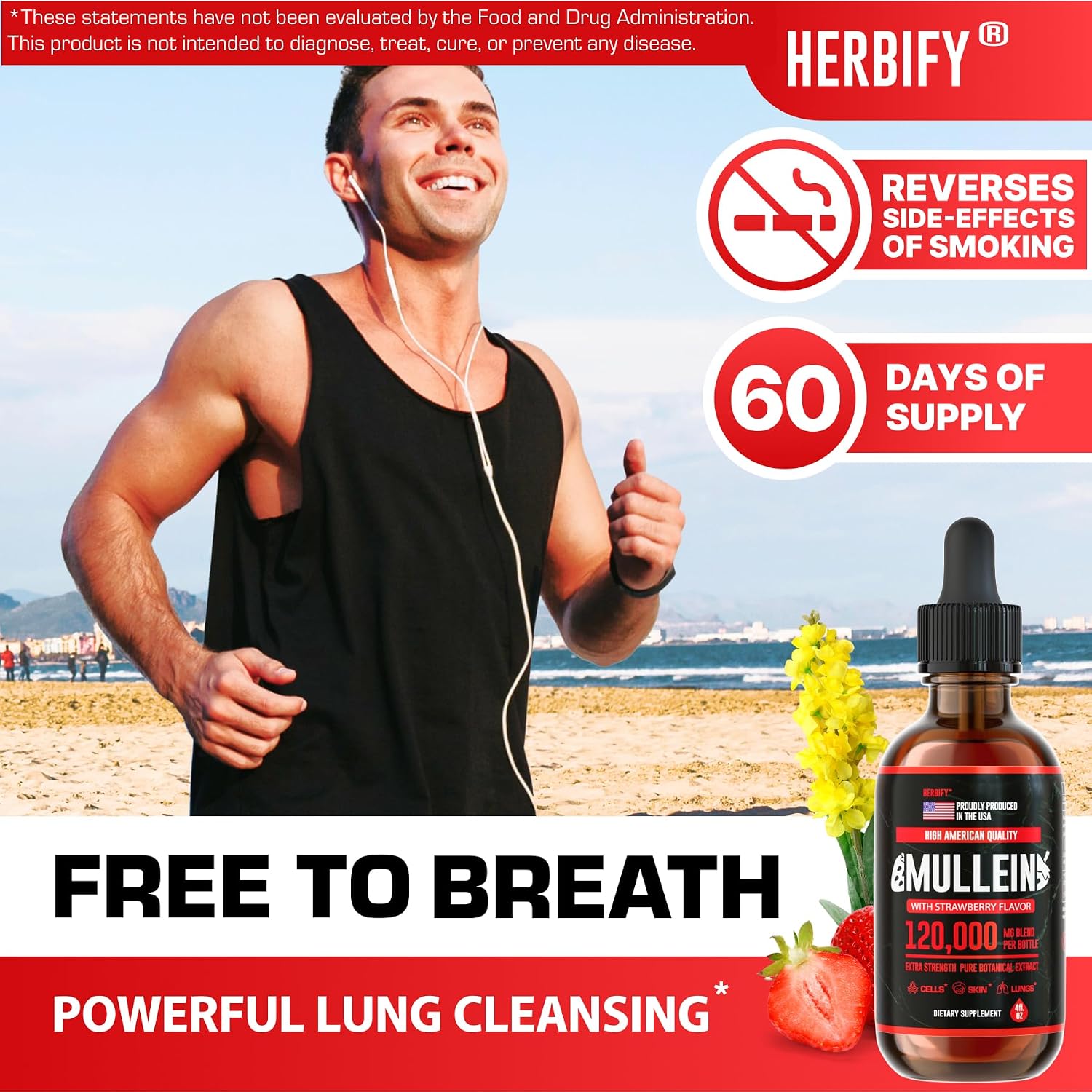 HERBIFY Bundle - Lions Mane & Mullein 4 Fl Oz Strawberry Drops - Supplement for Memory, Focus & Clarity & Immune Support, Lung Cleanse and Bronchial Support - PrimeBioHealth - canada supplements