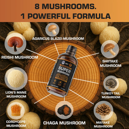 HERBIFY Lions Mane Supplement - Daily Mushroom Supplement for Memory, Focus & Clarity - Brain Booster - Lions Mane Tincture for Immune Support - 4 Fl oz - PrimeBioHealth - canada supplements