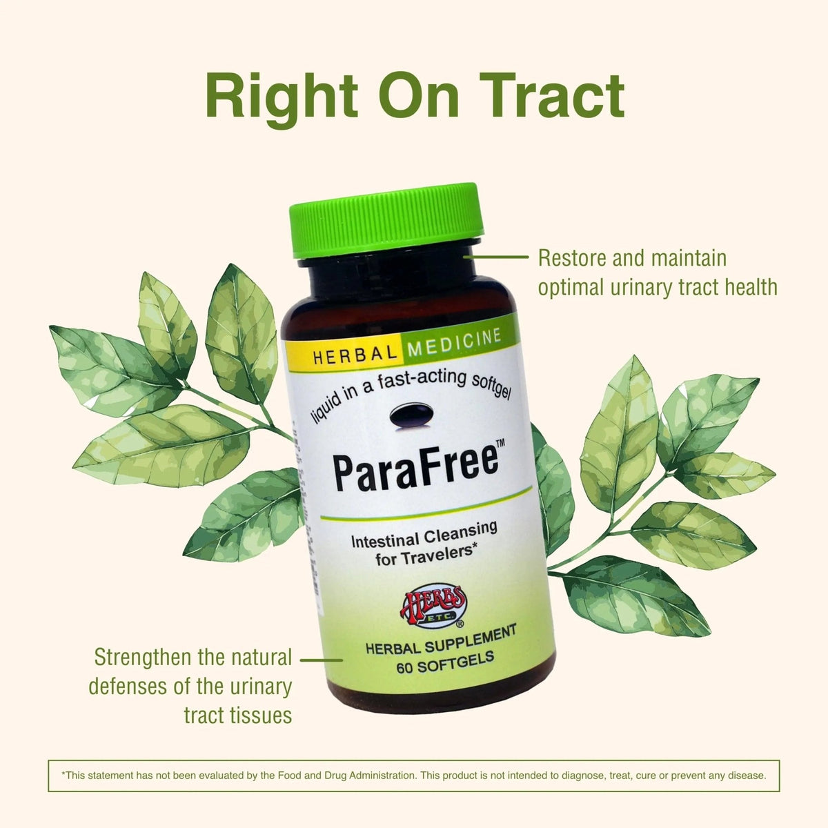Herbs Etc. CranBladder ReLeaf Softgels - Bladder Health Support - Natural Supplement Formula to Aid Urinary Health & Comfort - Optimal Urinary Support with Cranberry - 60 Softgels (60 Servings) - PrimeBioHealth - canada supplements