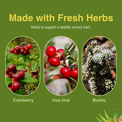 Herbs Etc. CranBladder ReLeaf Softgels - Bladder Health Support - Natural Supplement Formula to Aid Urinary Health & Comfort - Optimal Urinary Support with Cranberry - 60 Softgels (60 Servings) - PrimeBioHealth - canada supplements