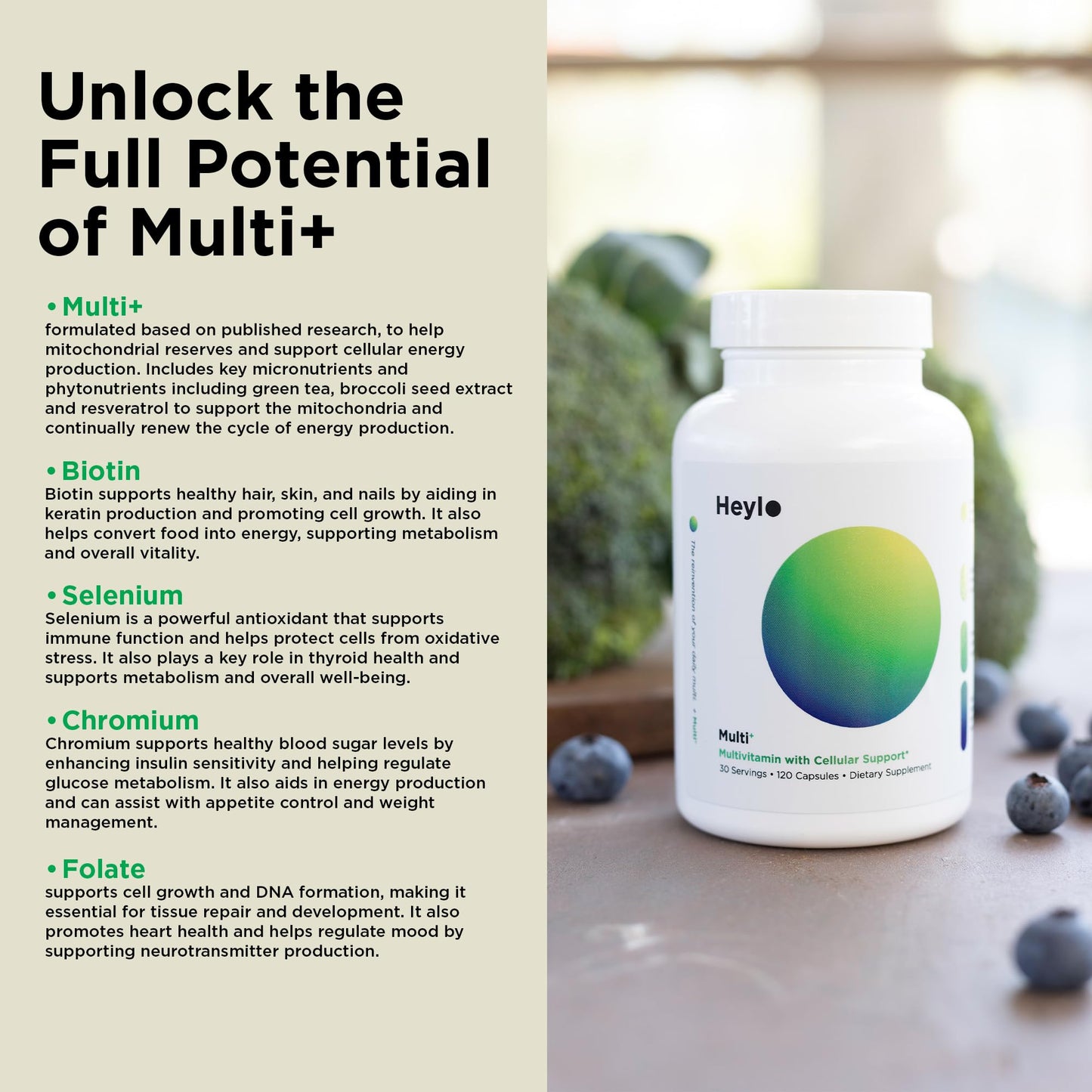 Heylo Multi+ Advanced Multivitamin Supplement – Boosts Energy, Enhances Immune Support, Provides Antioxidant Protection, Promotes Detoxification - PrimeBioHealth - canada supplements