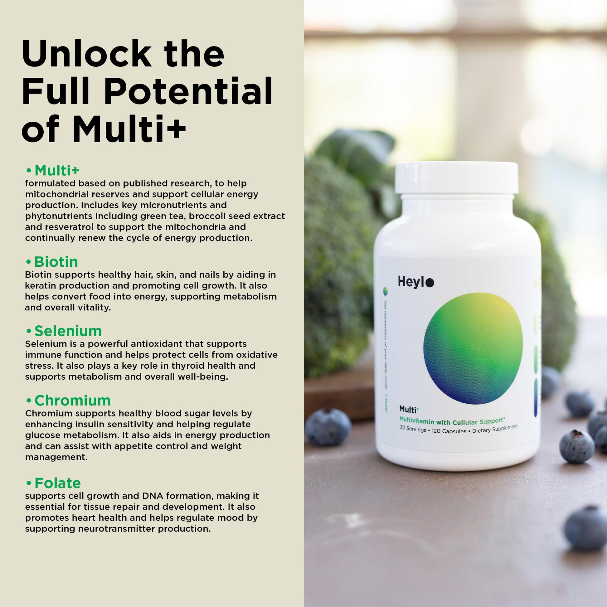 Heylo Multi+ Advanced Multivitamin Supplement – Boosts Energy, Enhances Immune Support, Provides Antioxidant Protection, Promotes Detoxification - PrimeBioHealth - canada supplements