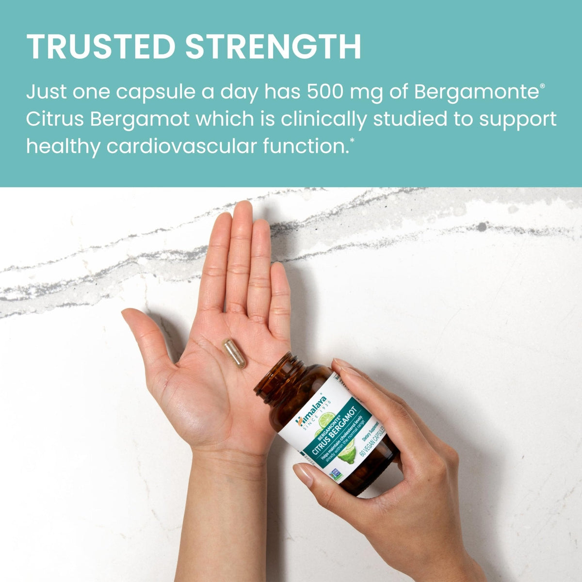 Himalaya Citrus Bergamot, Herbal Supplement for Daily Wellness, Vegan, Gluten Free, 500 mg Bergamonte® Extract, 60 Capsules - PrimeBioHealth - canada supplements