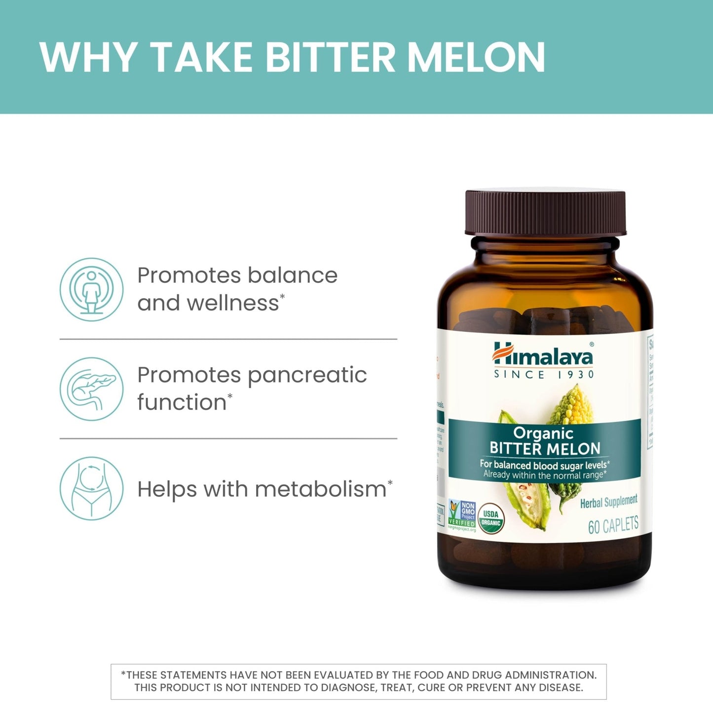 Himalaya Organic Bitter Melon - Herbal Glucose Metabolism Support - USDA Organic, Non-GMO, Vegan, Gluten Free - PrimeBioHealth - canada supplements