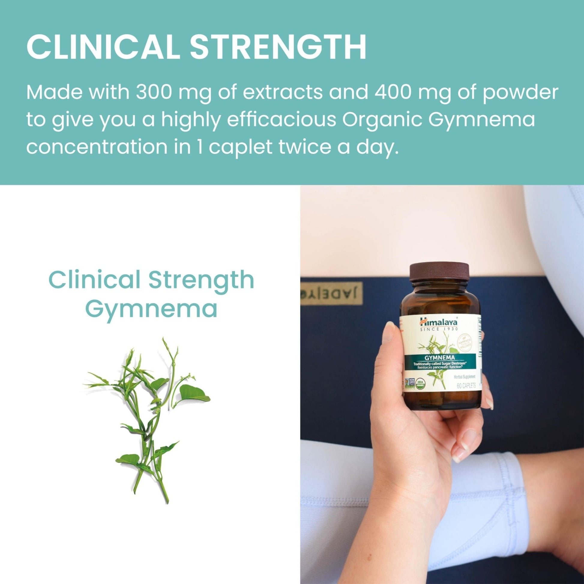 Himalaya Organic Gymnema Sylvestre – Herbal Glucose Metabolism Support - USDA Organic, Non-GMO, Vegan, Gluten Free, Additive Free, 700 mg, 60 Caplets - PrimeBioHealth - canada supplements