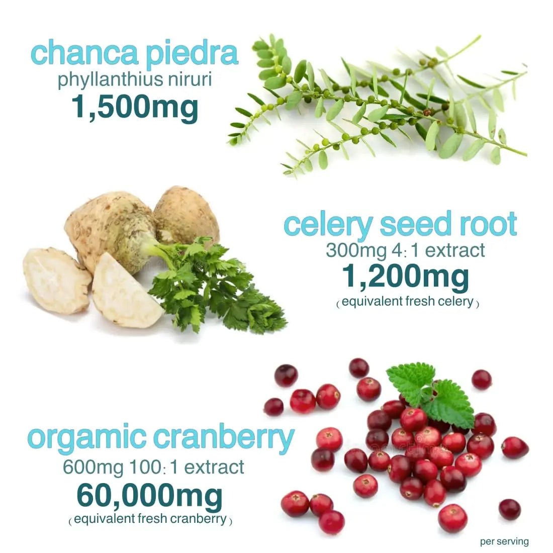 Holistic MD Stone Breaker Chanca Piedra 1,500mg Gummies Kidney Stones Cleanse Gallbladder Formula | Plus Cranberry Extract Might Help Urinary Tract Flush Impurities | Fast Absorption Sugar Free 60ct - PrimeBioHealth - canada supplements