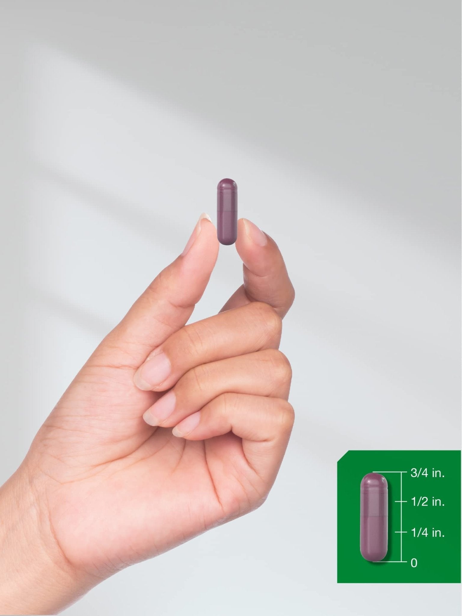 Horbäach Beet Root Powder Capsules | 320 Pills | Non-GMO, Gluten Free Formula | High Potency Herbal Extract Supplement - PrimeBioHealth - canada supplements