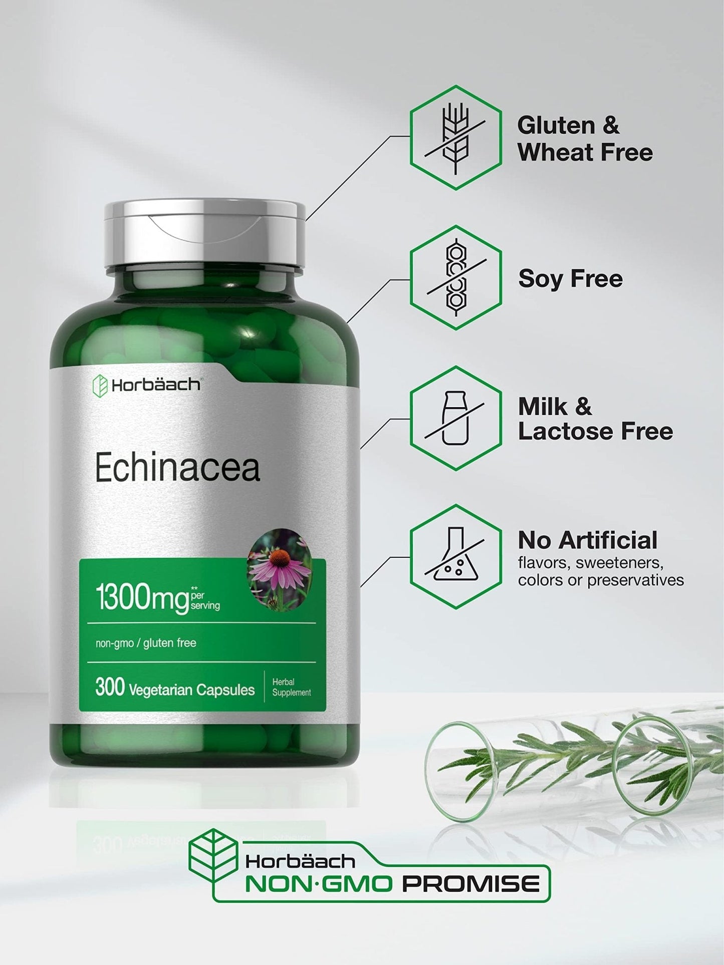 Horbäach Echinacea Extract Capsules | 300 Count | Vegan, Non-GMO, Gluten Free Supplement - PrimeBioHealth - canada supplements
