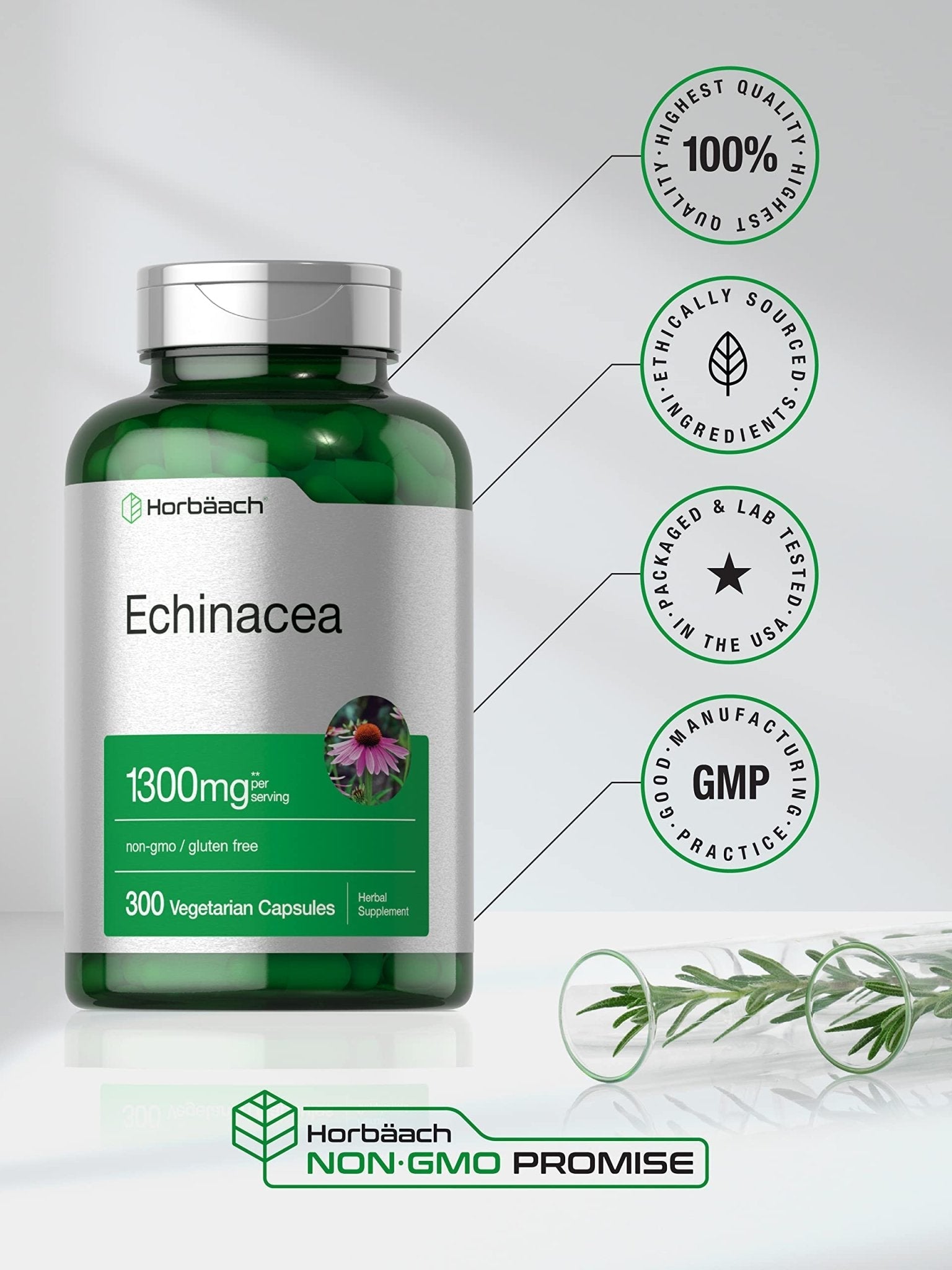 Horbäach Echinacea Extract Capsules | 300 Count | Vegan, Non-GMO, Gluten Free Supplement - PrimeBioHealth - canada supplements