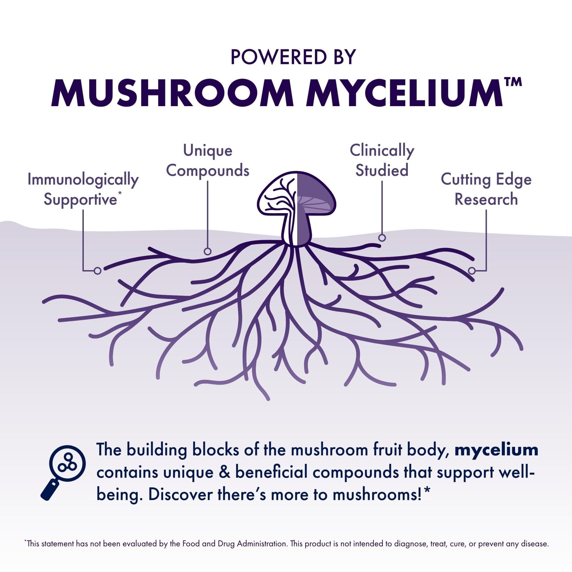 Host Defense Mushrooms Lion's Mane - Supplement Capsules for Brain Health Support - Mushroom Support for Focus & Memory Function - PrimeBioHealth - canada supplements