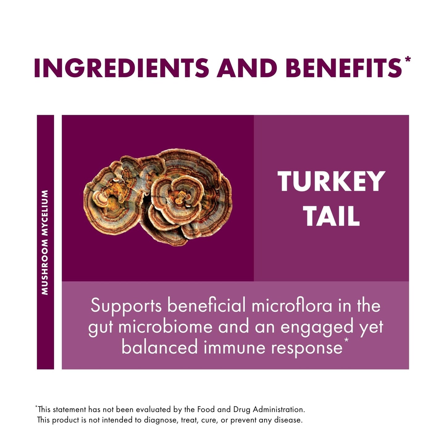 Host Defense Turkey Tail Capsules - Digestive Health & Immune Response Support Supplement - Mushroom Supplement for Gastrointestinal - PrimeBioHealth - canada supplements