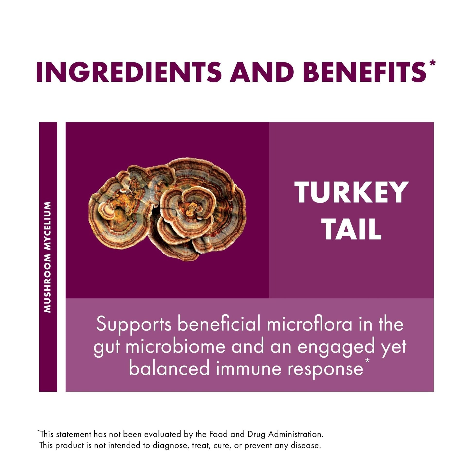 Host Defense Turkey Tail Capsules - Digestive Health & Immune Response Support Supplement - Mushroom Supplement for Gastrointestinal - PrimeBioHealth - canada supplements