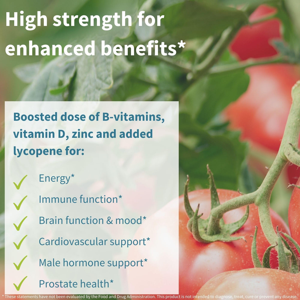 Igennus Methylated Men's Multivitamin with 22 Actives, Added Lycopene for Antioxidant Support, High Potency B12, Sustained Release, - PrimeBioHealth - canada supplements
