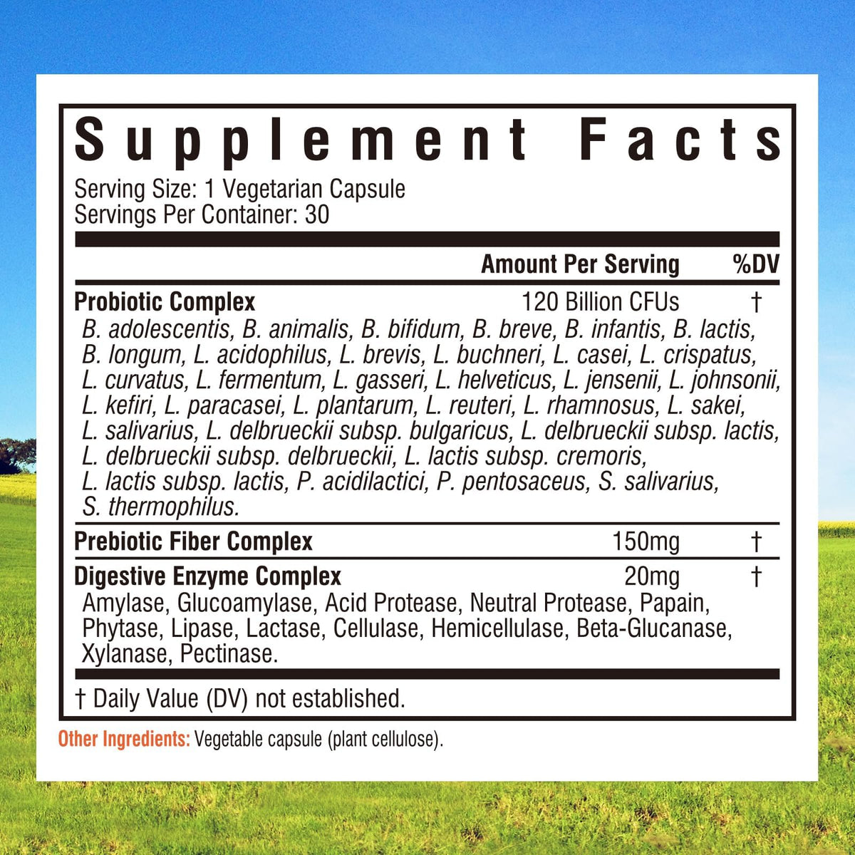 Innate Vitality Probiotics 120 Billion CFUs for Men & Women, 34 Strains with Prebiotics & Digestive Enzymes, Immune & Digestive Health - PrimeBioHealth - canada supplements