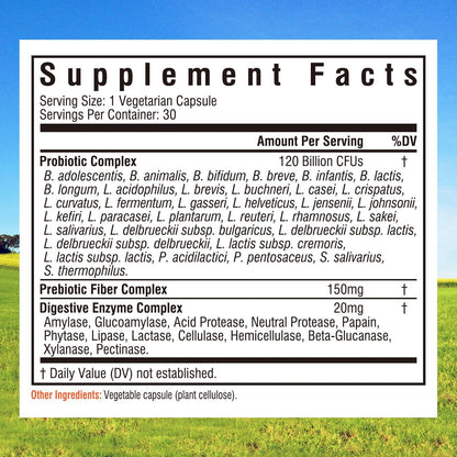 Innate Vitality Probiotics 120 Billion CFUs for Men & Women, 34 Strains with Prebiotics & Digestive Enzymes, Immune & Digestive Health - PrimeBioHealth - canada supplements