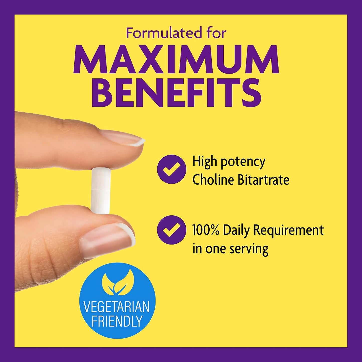 InnovixLabs Choline & Magnesium Bundle Choline Bitartrate 550mg (100 Capsules) Advanced Magnesium (150 Capsules). Supports Memory, Mood, Brain Health & Boost Cognitive.* - PrimeBioHealth - canada supplements
