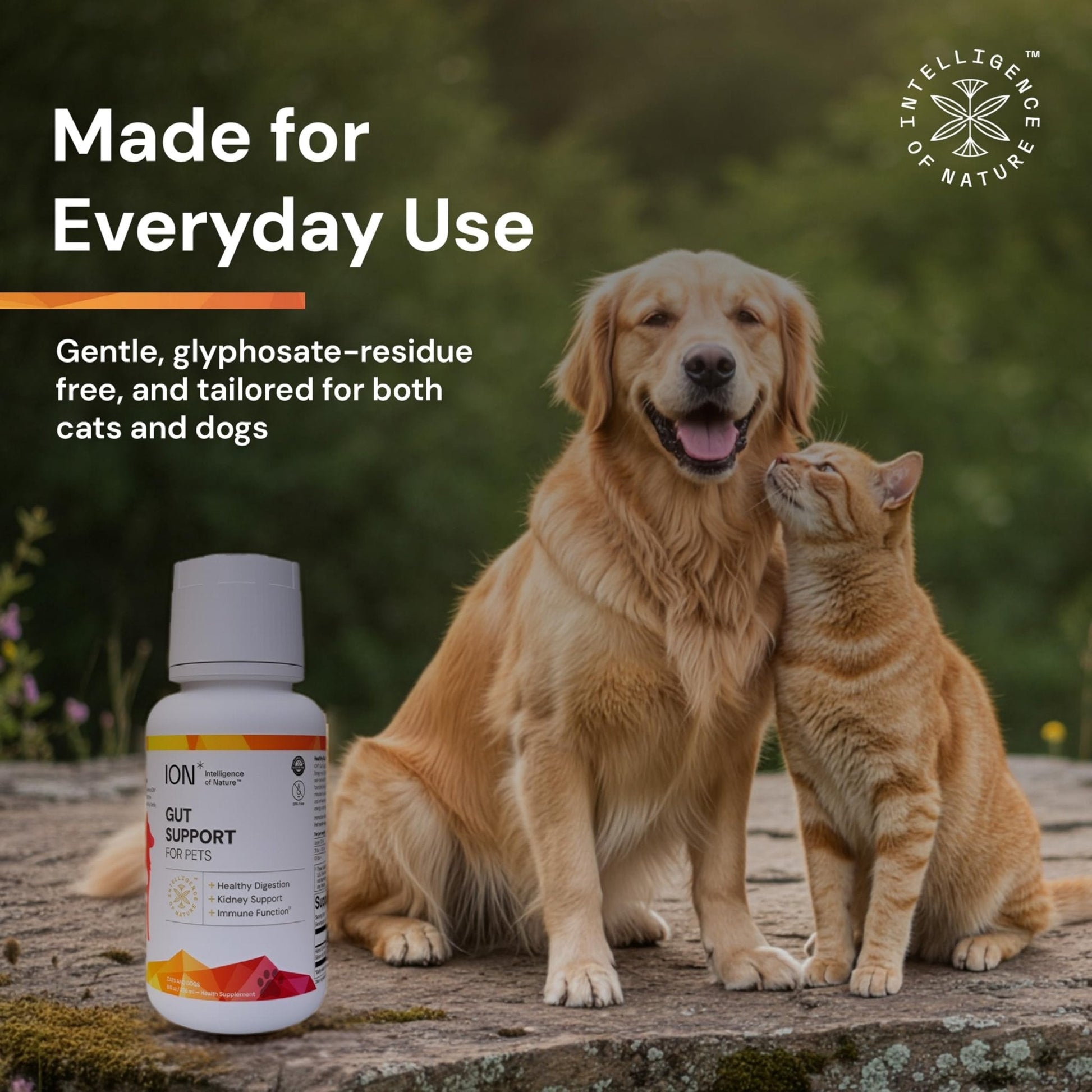 ION* Intelligence of Nature Gut Support For Pets - Liquid Probiotics Drops Alternative for Dogs & Cats, Digestive Health for Puppies, Skin & Hair Health - 16 fl oz (Pack of 1) - PrimeBioHealth - canada supplements