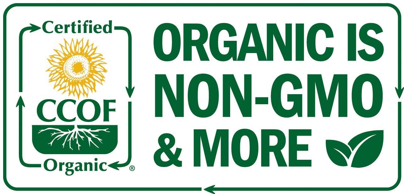 Island Nutrition, Oregano Oil Organic Liquid Drops - 100% Pure & Undiluted - USDA-Certified Organic (1 oz) 75% Carvacrol - PrimeBioHealth - canada supplements