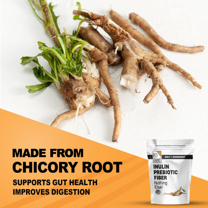 It's Just! - Inulin Prebiotic Fiber, Water Soluble, Chicory Root Powder, Promotes Gut Health, Made in USA, Product of Belgium, Vegan/Keto Friendly - PrimeBioHealth - canada supplements