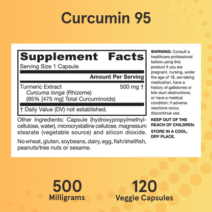 Jarrow Formulas Curcumin 95 Supplement - Turmeric Extract Supplement, 500 mg for Antioxidant & Joint Support, 120 Capsules - PrimeBioHealth - canada supplements