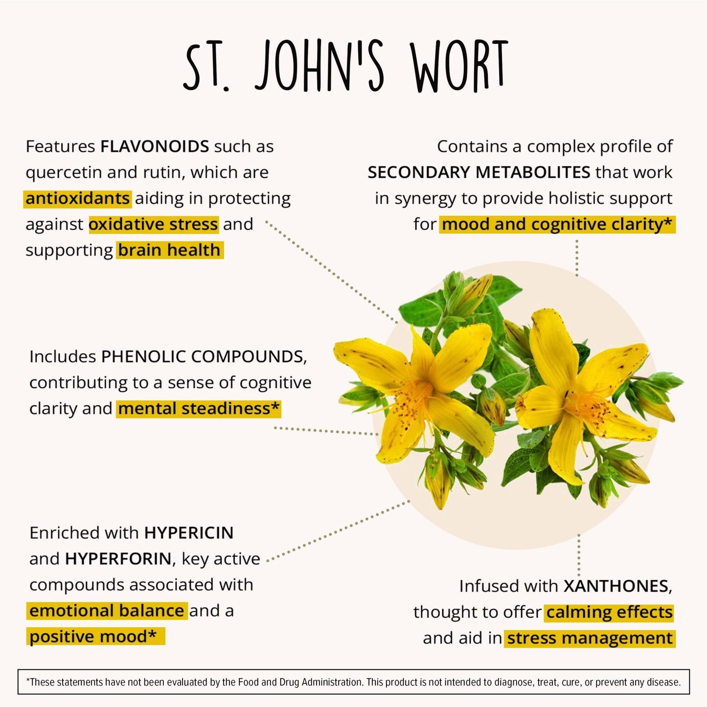 Joy-Filled Mood Support Supplement - 7 Herb Complex + St. Johns Wort | Stress Relief – Helps Calm The Mind & Body | 100% Plant-Based Happy Pills - PrimeBioHealth - canada supplements